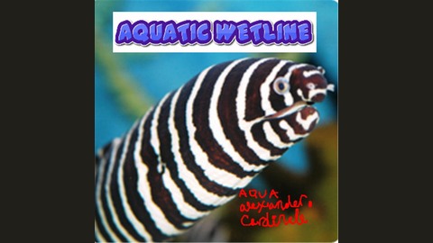 aquatic wetline with aqua