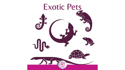 free exotic pets